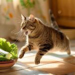 Understanding feline fears: why do cats react to cucumbers?